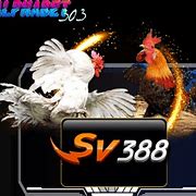 Situs Sabung Ayam Online Terpercaya